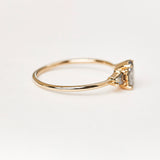 Tara Diamond Ring - 0,58ct Salt & Pepper Diamonds