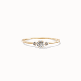 Stella Diamond Ring - 0.14ct Salt & Pepper Diamonds